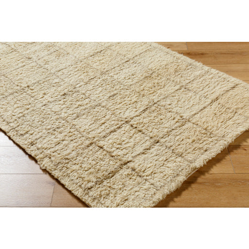 Surya Beni Moroccan BMC-2305  Global Tufted Rug