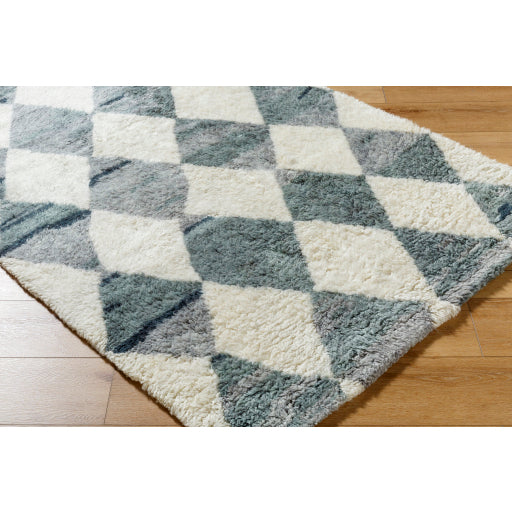 Surya Beni Moroccan BMC-2308  Global Tufted Rug