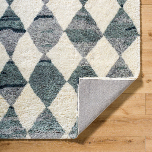 Surya Beni Moroccan BMC-2308  Global Tufted Rug