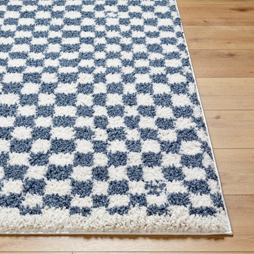 Surya Birmingham BMM-2320 Ivory Modern Machinemade Rug