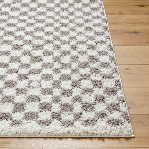 Surya Birmingham BMM-2321 Ivory Modern Machinemade Rug