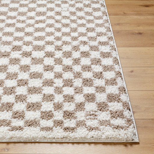 Surya Birmingham BMM-2322 Ivory Modern Machinemade Rug