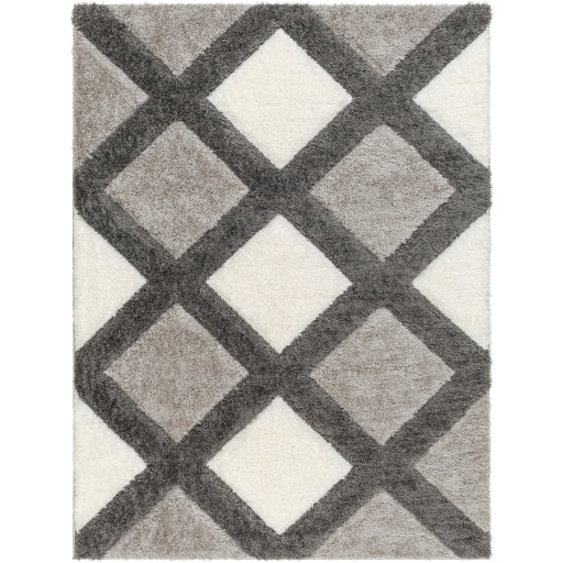 Surya Bologna BOG-2300 Gray Modern Machinemade Rug