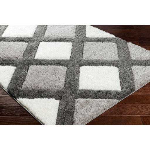 Surya Bologna BOG-2300 Gray Modern Machinemade Rug
