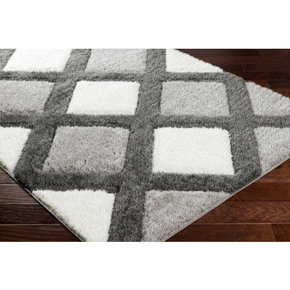 Surya Bologna BOG-2300 Gray Modern Machinemade Rug