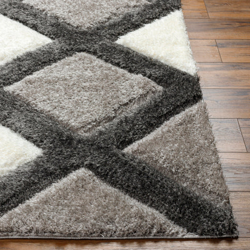 Surya Bologna BOG-2300 Gray Modern Machinemade Rug
