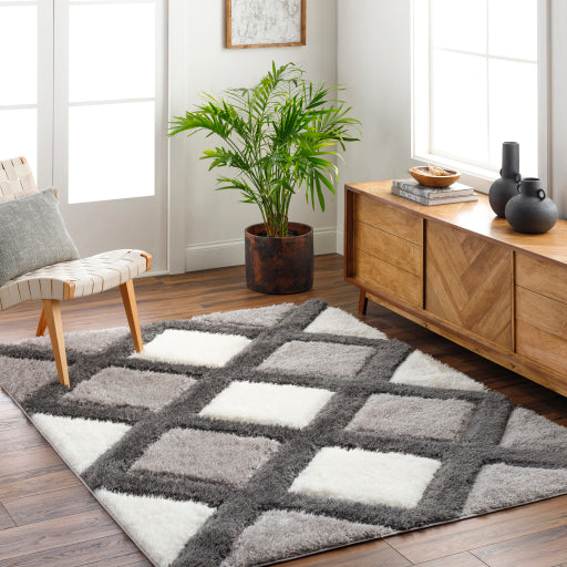Surya Bologna BOG-2300 Gray Modern Machinemade Rug