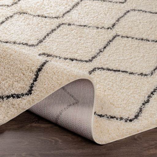 Surya Beni Shag BSH-2302 Black Global Machinemade Rug