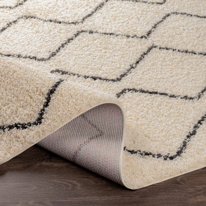 Surya Beni Shag BSH-2302 Black Global Machinemade Rug