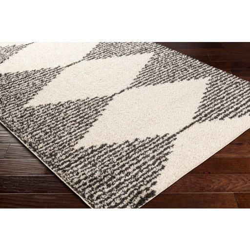 Surya Beni Shag BSH-2308 Black Global Machinemade Rug