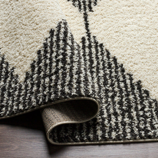 Surya Beni Shag BSH-2308 Black Global Machinemade Rug