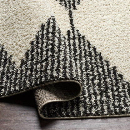 Surya Beni Shag BSH-2308 Black Global Machinemade Rug