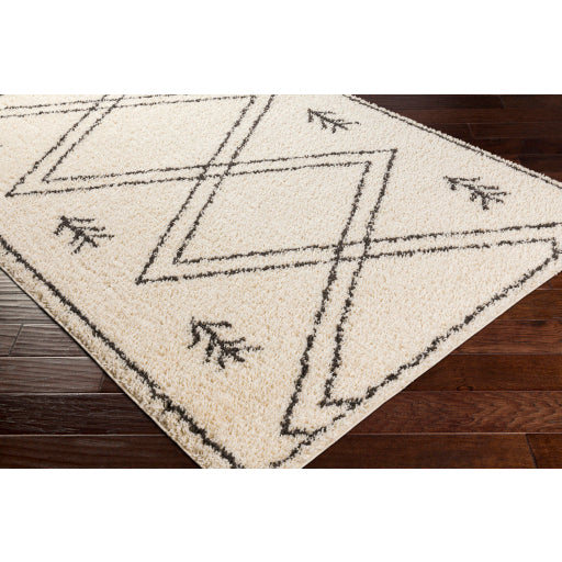 Surya Beni Shag BSH-2315 Black Global Machinemade Rug