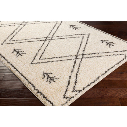 Surya Beni Shag BSH-2315 Black Global Machinemade Rug