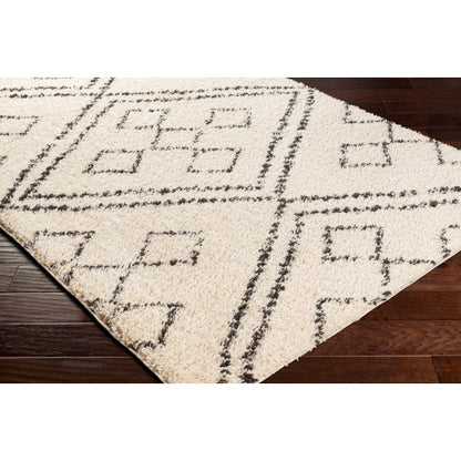 Surya Beni Shag BSH-2331 Black Global Machinemade Rug
