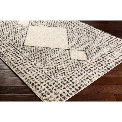 Surya Beni Shag BSH-2332 Black Global Machinemade Rug
