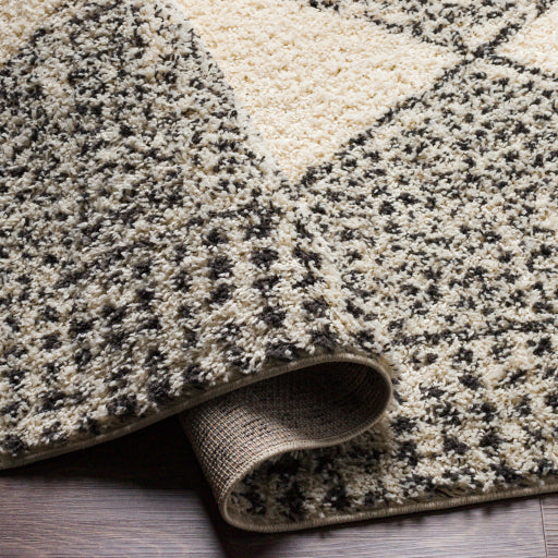 Surya Beni Shag BSH-2332 Black Global Machinemade Rug