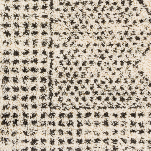 Surya Beni Shag BSH-2332 Black Global Machinemade Rug