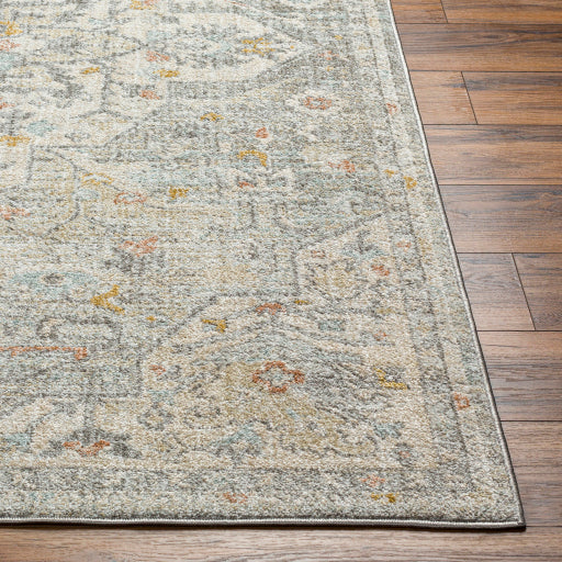 Surya Bitlis BSI-2306 Silver Gray Traditional Machinemade Rug