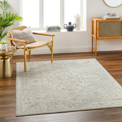 Surya Bitlis BSI-2306 Silver Gray Traditional Machinemade Rug