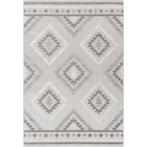 Surya Big Sur BSR-2313 Medium Gray Global Machinemade Rug