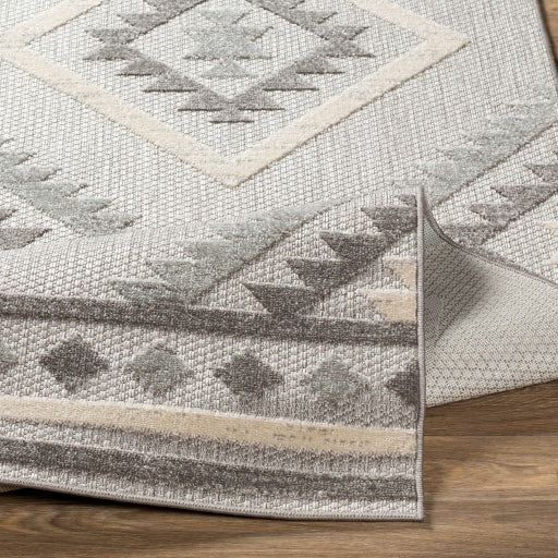 Surya Big Sur BSR-2313 Medium Gray Global Machinemade Rug