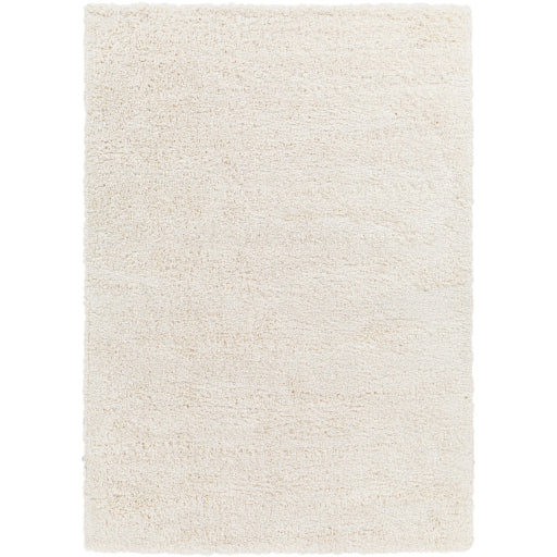 Surya Bogota Shag BTG-2301 Light Gray Modern Machinemade Rug