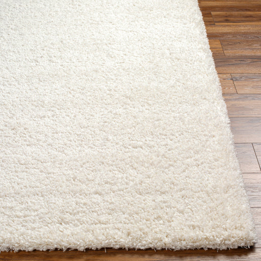 Surya Bogota Shag BTG-2301 Light Gray Modern Machinemade Rug