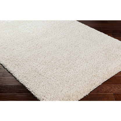 Surya Bogota Shag BTG-2302 Cream Modern Machinemade Rug
