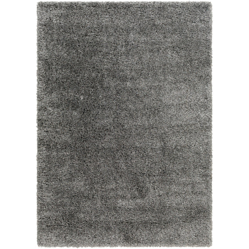Surya Bogota Shag BTG-2304 Charcoal Modern Machinemade Rug