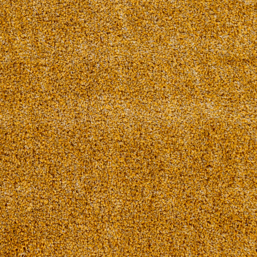 Surya Bogota Shag BTG-2305 Mustard Modern Machinemade Rug