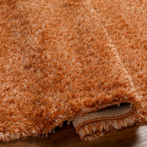 Surya Bogota Shag BTG-2306 Burnt Orange Modern Machinemade Rug
