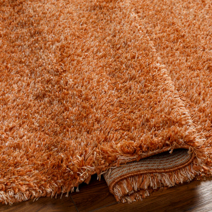 Surya Bogota Shag BTG-2306 Burnt Orange Modern Machinemade Rug