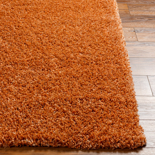 Surya Bogota Shag BTG-2306 Burnt Orange Modern Machinemade Rug