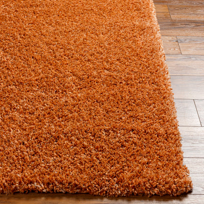 Surya Bogota Shag BTG-2306 Burnt Orange Modern Machinemade Rug