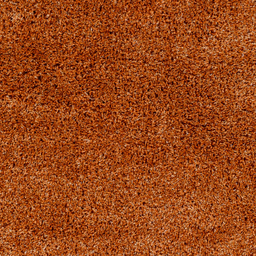 Surya Bogota Shag BTG-2306 Burnt Orange Modern Machinemade Rug