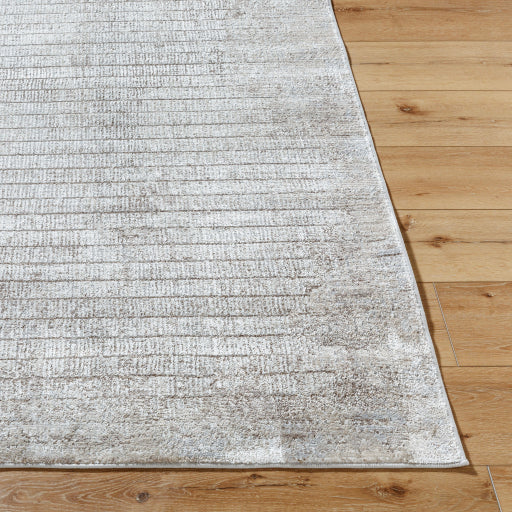 Surya Beyond BYD-2301 Light Beige Rustic Machinemade Rug