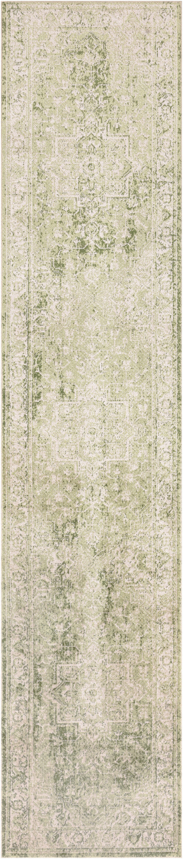 Nourison Home Astra Machine Washable ASW12 Ivory Green Traditional Power-loomed Rug