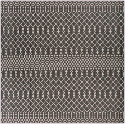 Nourison Home Positano POS02 Black Contemporary Power-loomed Rug