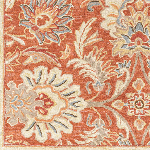 Surya Caesar CAE-1112 Terracotta Traditional Tufted Rug