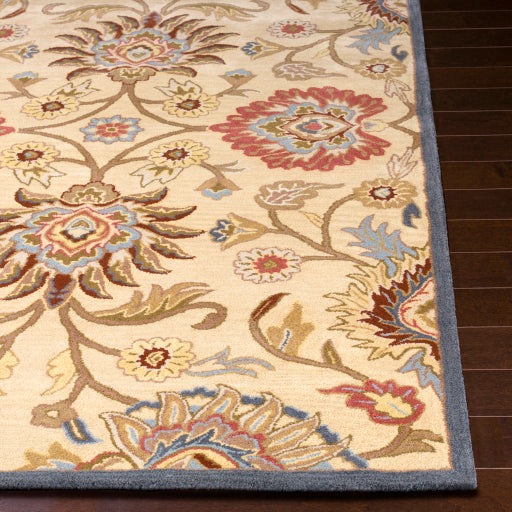 Surya Caesar CAE-1116 Tan Traditional Tufted Rug