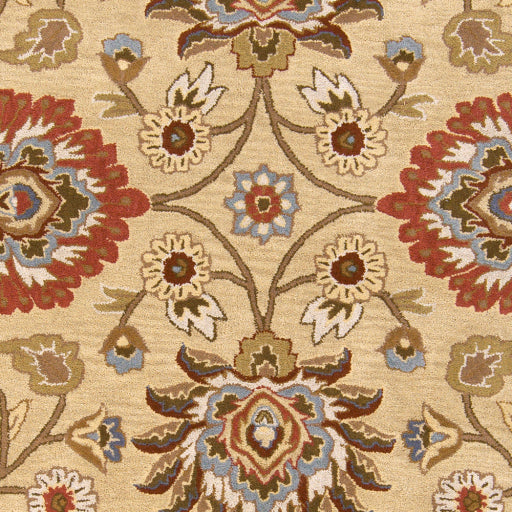 Surya Caesar CAE-1116 Tan Traditional Tufted Rug