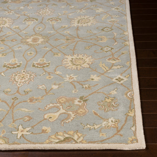 Surya Caesar CAE-1121 Ivory Traditional Tufted Rug