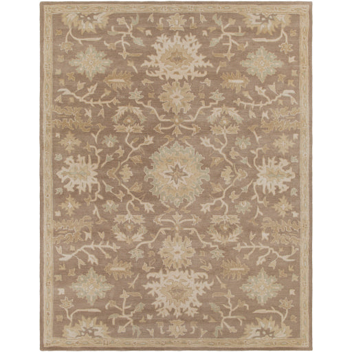 Surya Caesar CAE-1149 Dark Brown Traditional Tufted Rug