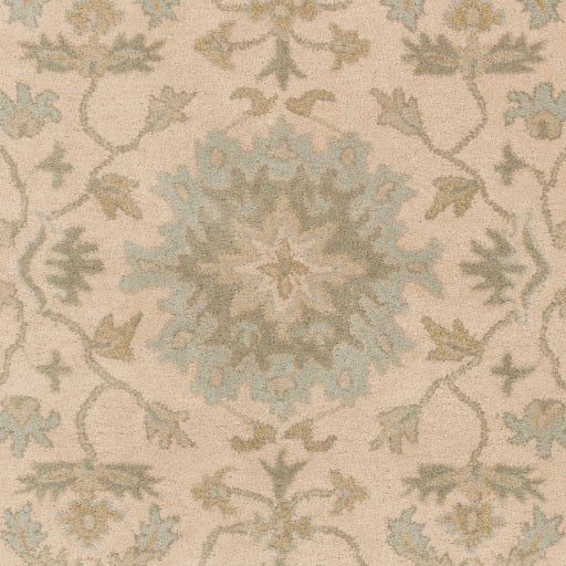 Surya Caesar CAE-1161 Light Beige Traditional Tufted Rug