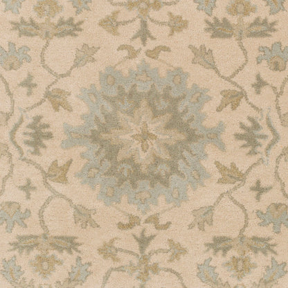 Surya Caesar CAE-1161 Light Beige Traditional Tufted Rug