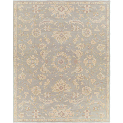Surya Caesar CAE-1162 Pale Blue Traditional Tufted Rug