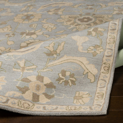 Surya Caesar CAE-1162 Pale Blue Traditional Tufted Rug