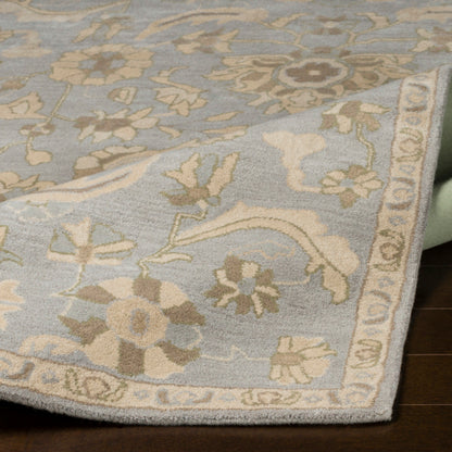 Surya Caesar CAE-1162 Pale Blue Traditional Tufted Rug