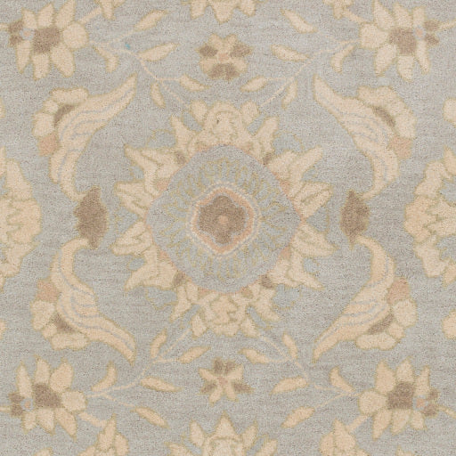 Surya Caesar CAE-1162 Pale Blue Traditional Tufted Rug